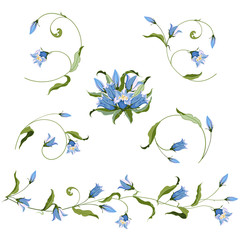 Fototapeta na wymiar Collection of hand drawn blue bell flower, composition