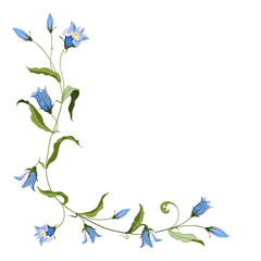 Corner composition of hand drawn blue bell flower for design