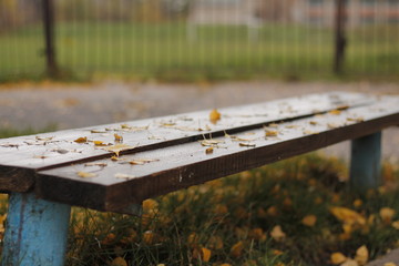 bench in the park
