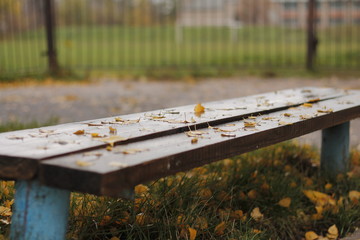 bench in the park