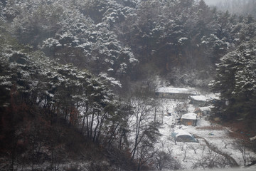 시골집 겨울풍경