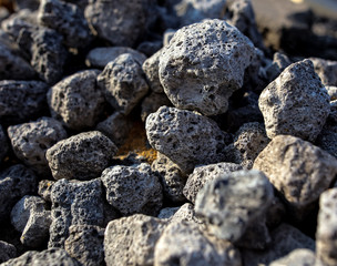 Stones on the edge of the asphalt road