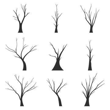 Bare trees black silhouette vector set isolated on white background.