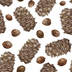 Watercolor cedar cone and walnuts seamless pattern on white background