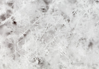 Fototapeta premium White snowflakes on nature as a background