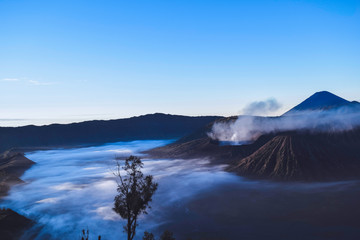 Beautiful colorful sunrise over Mount Bromo and wild island in Mount Bromo National Park