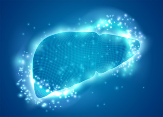 human liver. 3d vector. health and medicine.