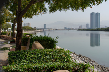 Ras al Khaimah (RAK) Corniche park view from under the trees towards water.