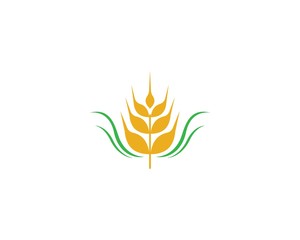 Wheat vector icon illustration