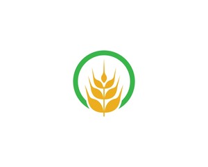 Wheat vector icon illustration