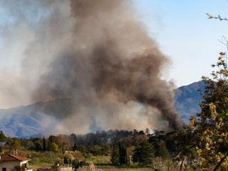 Fototapeta premium Forest on fire, Italy. Smokes billows over burning trees. Near Fornoli village, Lunigiana, March 2019. Vertical image.