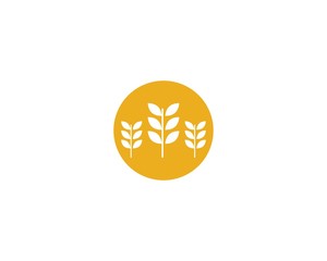 Wheat vector icon illustration
