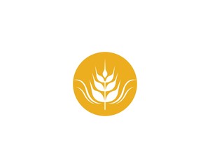 Wheat vector icon illustration