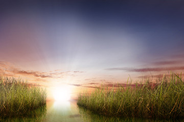 Panoramic views of rivers with green plants and sunlight