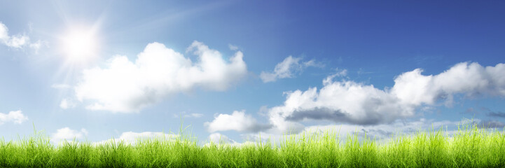 Fototapeta na wymiar Panorama of green grass and sunlight