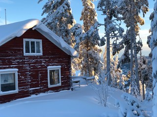 Winter cabin