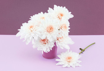 Chrysanthemums on a purple background with white vase
