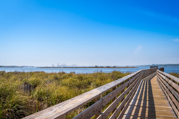 A very long boardwalk surrounded by shrubs in Gulf Shores, Alabama