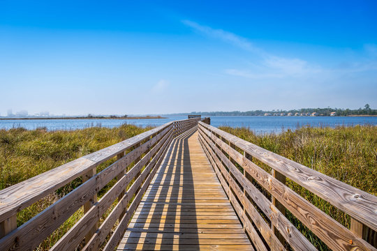 A very long boardwalk surrounded by shrubs in Gulf Shores, Alabama