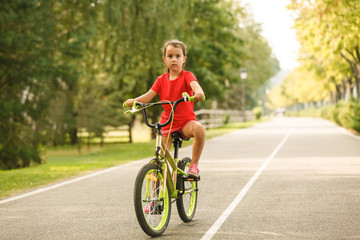 Girl on a bicycle spring morning