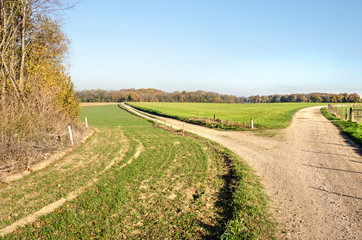 Fototapeta na wymiar Fork in a dirt road in a hilly landscape with green meadows and woodland near Valkenburg, The Netherlands