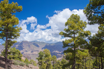 Gran Canaria, March