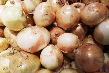 Close up shot, yellow vidalia onion vegetable fresh from farm to market .