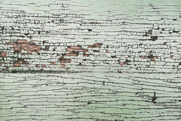 Cracked green wood floor and empty space for text.