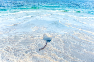 .incredibly beautiful seaside of the dead sea with blue water and white crystals of salt...