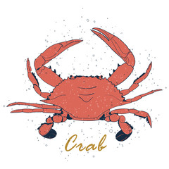 Vector crab silhouette. Isolated coral crab with air traps on white background. Icon crab for your design label, logo, print sticker, poster,banner etc