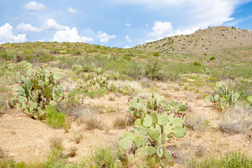 Fototapeta na wymiar Agua Fria National Monument in Arizona, USA