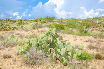 Agua Fria National Monument in Arizona, USA