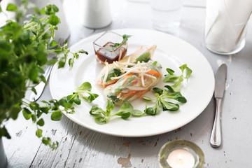 Spring Rolls. A healthy and light vegetarian snack