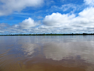 Amazon, Peru, South America, Selva, Jungle