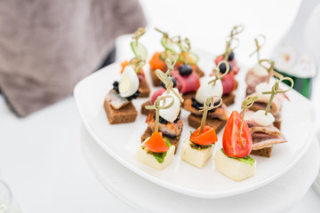 Buffet table. Assortment of canapes. Banquet service in restaurant. Catering food, snacks on white plate