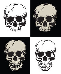 Vector collection grunge human skulls on light and dark background