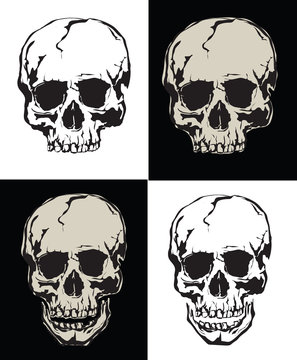 Vector collection grunge human skulls on light and dark background