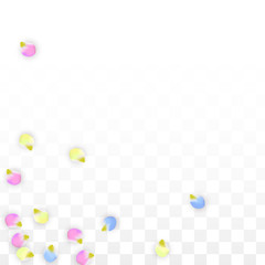 Vector Realistic Colorful Petals Falling on Transparent Background.  Spring Romantic Flowers Illustration. Flying Petals. Sakura Spa Design. Blossom Confetti. Design Elements for Wedding Decoration.