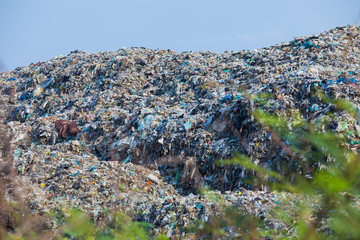 Stack large garbage with the sky background,pile of garbage, garbage dump (Global warming problem...