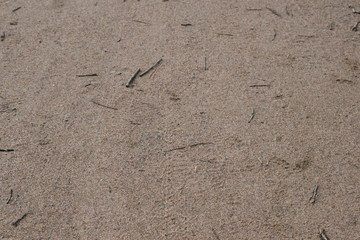footprints in the sand