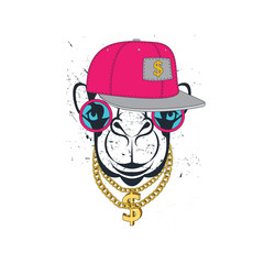 funny camel with gold chain in glasses and cap. Colored print for t-shirt and another, trendy apparel desig. Vector illustrations  