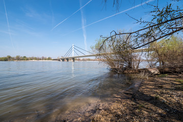 View of Liberty bridge in Novi Sad, Serbia with Danube river and city beach Strand in the early springtime with blue water and sky above from Kamenicki park side