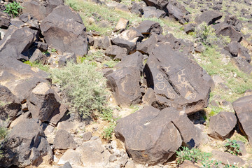 Petroglyph National Monument in New Mexico, USA