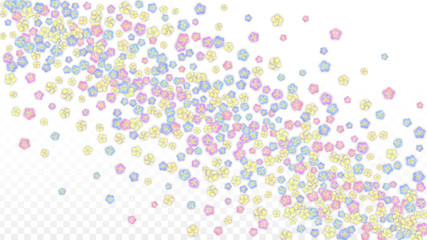 Colorful Vector Realistic Petals Falling on Transparent Background.  Spring Romantic Flowers Illustration. Flying Petals. Sakura Spa Design. Blossom Confetti. Design Elements for Wedding Decoration.