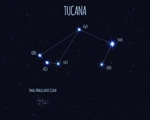 Tucana (The Toucan) constellation, vector illustration with the names of basic stars against the starry sky 