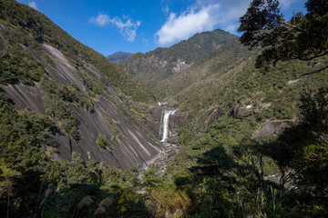 千尋の滝 ：屋久島