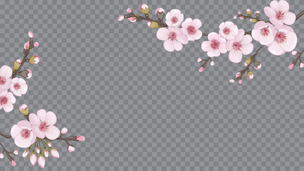Pink on transparent background. Handmade background in Chinese style. Festive frame horizontal of sakura flowers. Design element for textiles, wallpaper, packaging, printing.