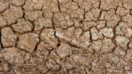 crack soil texture in summer. from global climate