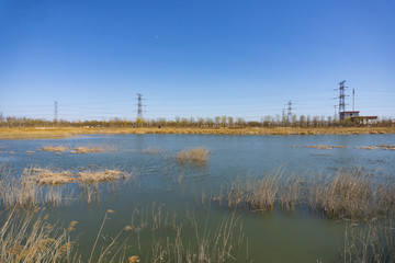 rural wetland scenery in sunlight