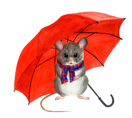 Сute little mouse in checkered scarf under an umbrella. Hand drawn watercolor - 258909533
